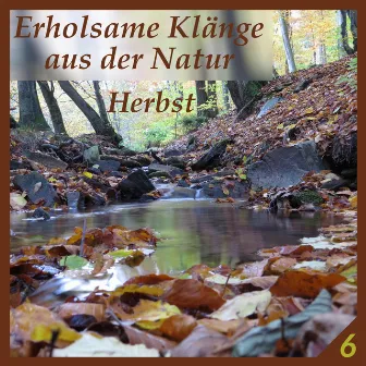 Erholsame Klänge aus der Natur 6 (Herbst) by Naturklänge-Vidobia