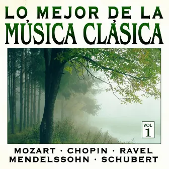 Música Clásica Vol.1 by Hamburg Symphony Orchestra