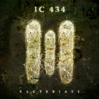 Bacteriate by IC 434