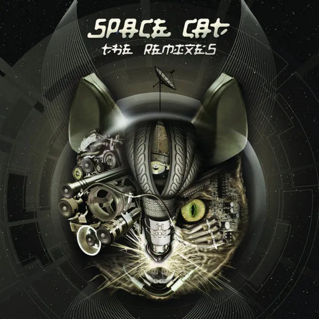 Transformer - Space Cat vs. Black & White Remix