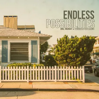 Endless Possibilities by Oh, Hush!