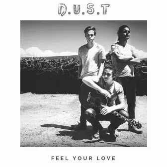 Feel Your Love by D.U.S.T.