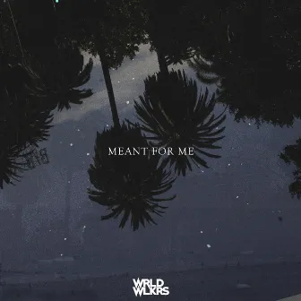 Meant for Me by Wrld Wlkrs