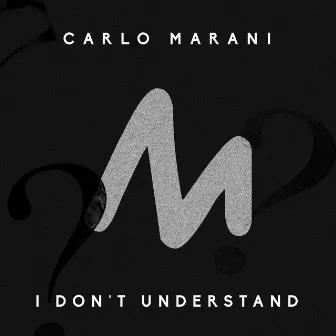 I Don't Understand by Carlo Marani