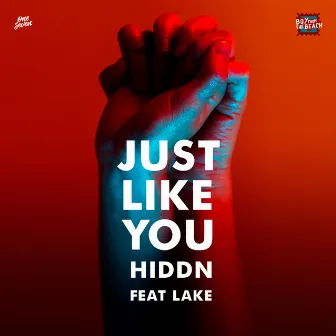 Just Like You (feat. Lake) by Lake