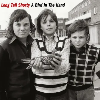 A Bird In The Hand by Long Tall Shorty