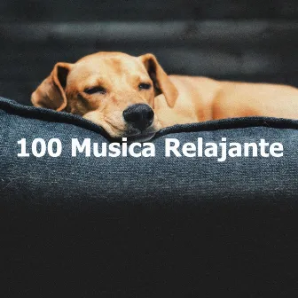 100 Musica Relajante by Musica Relajante para Perros Clasico