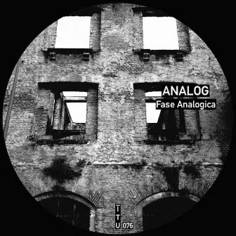 Fase Analogica by Analog