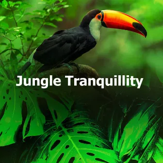 Jungle Tranquillity by Jungle Sounds