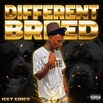 Different Breed by ICEYCINCO