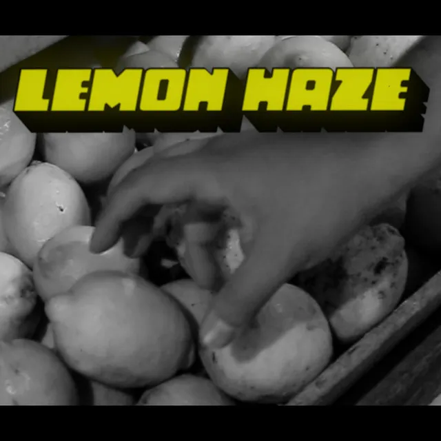 Lemon Haze