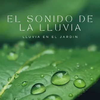 El Sonido De La Lluvia: Lluvia En El Jardin by Agradable Musica para Leer