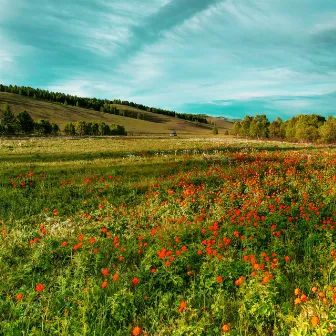 Overgrown Meadows by Luke Tidbury