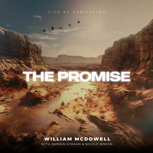 The Promise - Live