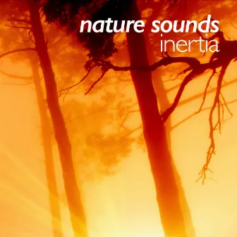 Nature Sounds: Inertia by Sweet Baby Sleep Baby