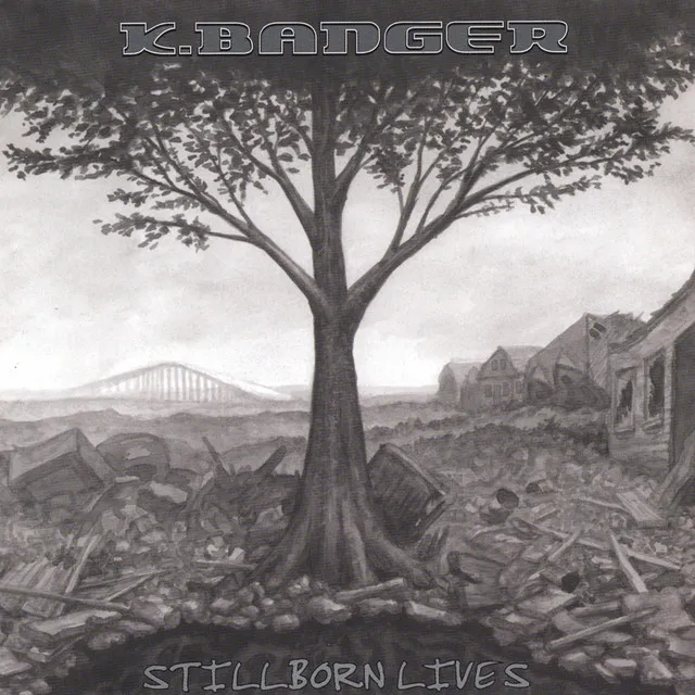 Stillborn Lives