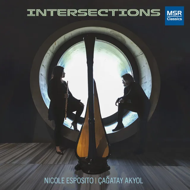 Sonata for Flute and Harp: III. Allegro molto