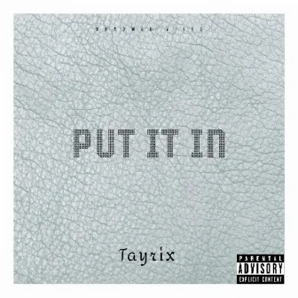 PUT IT IN by Tayrix