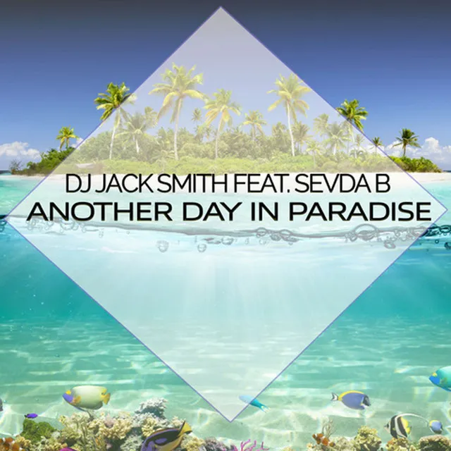 Another Day In Paradise - Radio Edit