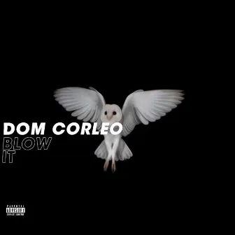 Blow It by Dom Corleo