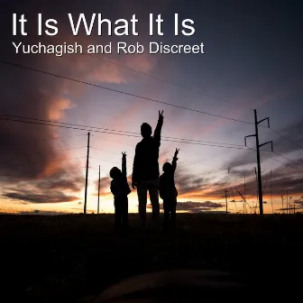 It Is What It Is by Rob Discreet