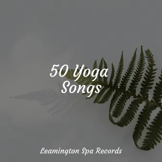 50 Yoga Songs by White Noise For Baby Sleep