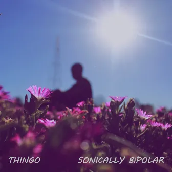 Sonically Bipolar by Thingo