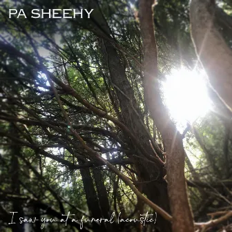 I Saw You At A Funeral (Acoustic) by Pa Sheehy