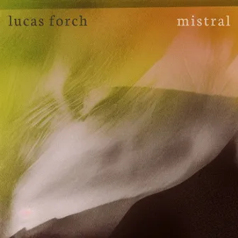 Mistral by Lucas Forch