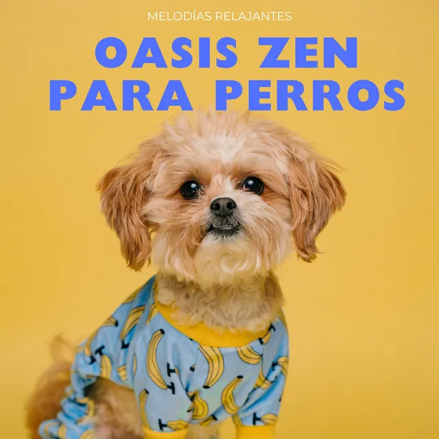 Oasis Zen Para El Alma De Tu Perro