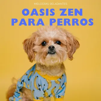 Oasis Zen Para Perros: Melodías Relajantes by Zona de terapia canina