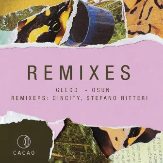 Osun Remixes by Cincity