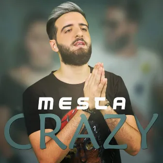 Crazy by Mesta