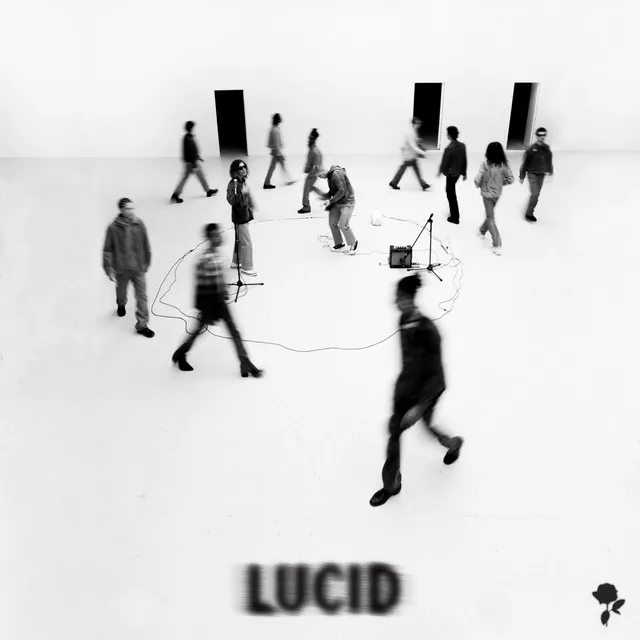 Lucid