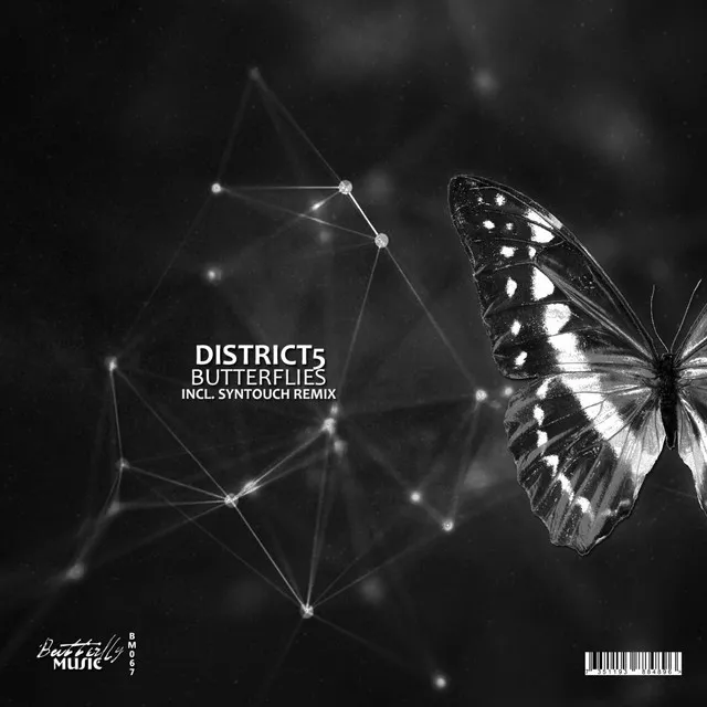 Butterflies - Syntouch Remix