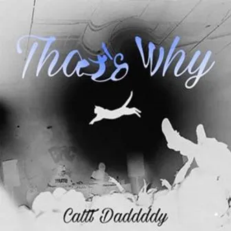 That's Why by Cattt Daddddy