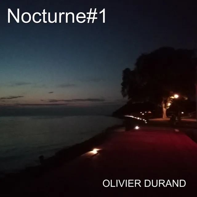 Nocturne#1