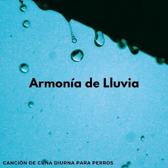 Armonía De Lluvia: Canción De Cuna Diurna Para Perros by Perro Total Relax