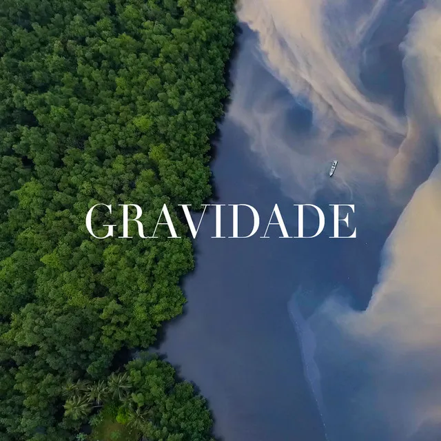 Gravidade