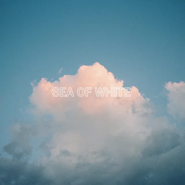 Sea Of White