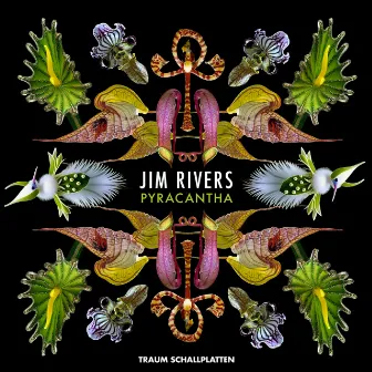 Pyracantha EP by Jim Rivers