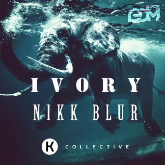 Ivory by Nikk Blur