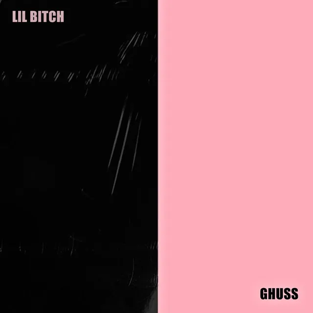 Lil Bitch