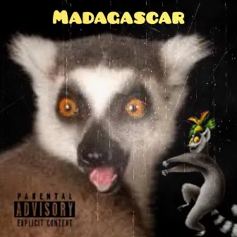 Madagascar by makeVPknown