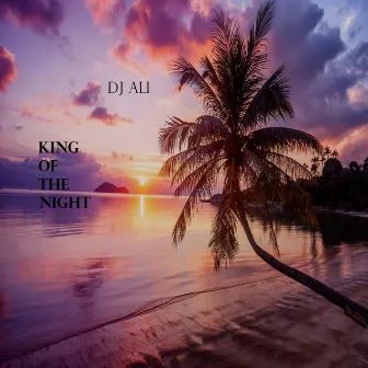 King of the Night (From Tropical Oasis Experience 2: Numinous) by DJ Ali