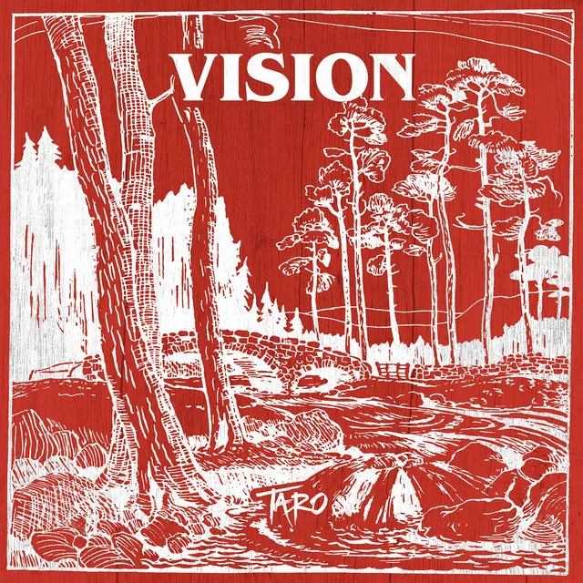 Vision