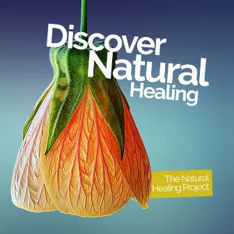 Discover Natural Healing by The Natural Healing Project