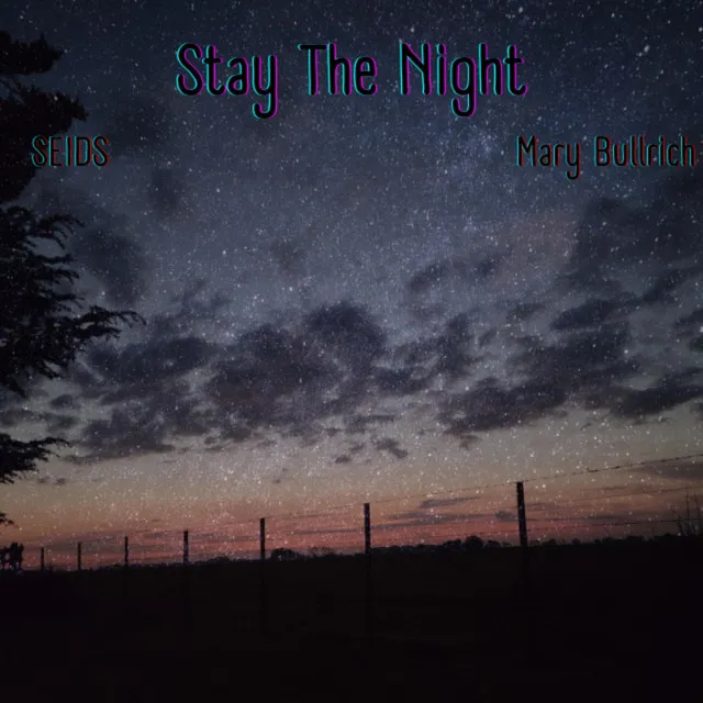 Stay The Night (Mary Bullrich Remix)