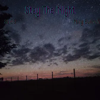 Stay The Night (Mary Bullrich Remix) by SEIDS