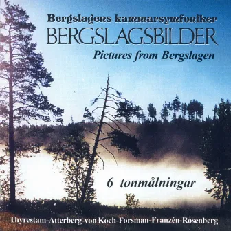 Bergslagsbilder by Bergslagens Kammarsymfoniker